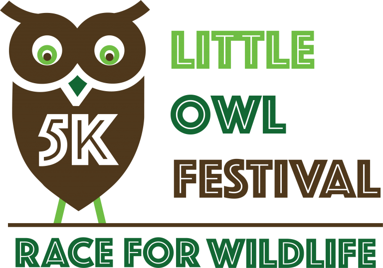 Little Owl Festival 5k, HD Png Download - Owl Transparent PNG Free Download