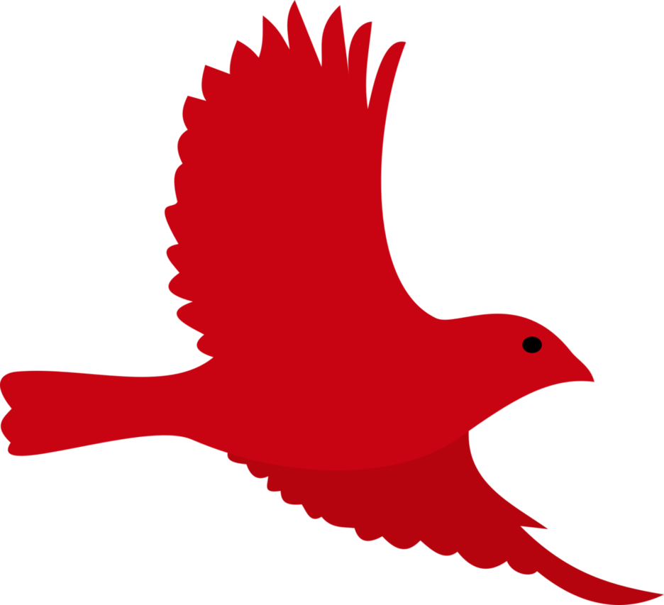 Bird Roblox Beak Owl Chicken - Perching Bird, HD Png Download - Owl Transparent PNG Free Download