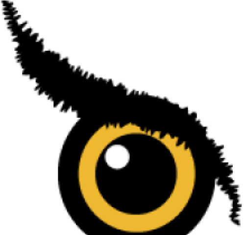 Eye Clipart Owls - Circle, HD Png Download - Owl Transparent PNG Free Download