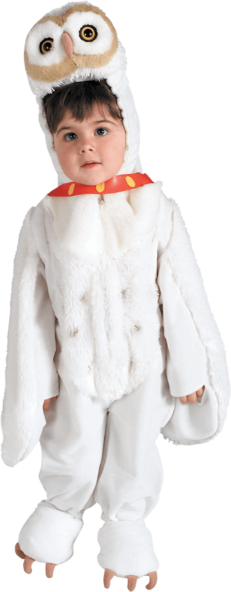 Deluxe Kids Hedwig The Owl Costume - Hedwig Costume, HD Png Download - Owl Transparent PNG Free Download
