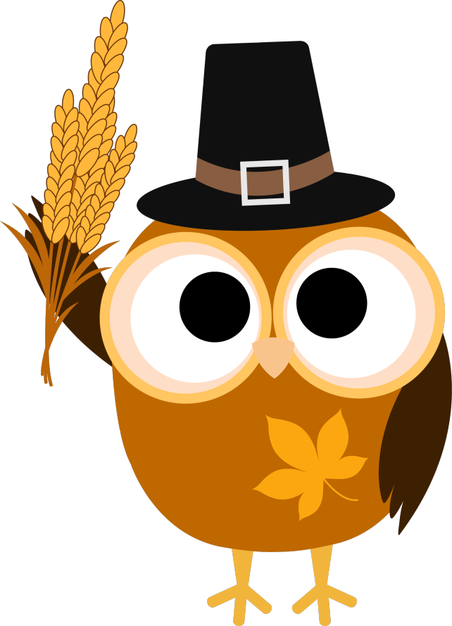 Transparent Thanksgiving Clip Art Png - Transparent Background Thanksgiving Clipart, Png Download - Owl Transparent PNG Free Download