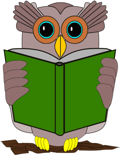 Owl,vertebrate,bird - Con Chim Đọc Sách, HD Png Download - Owl Transparent PNG Free Download