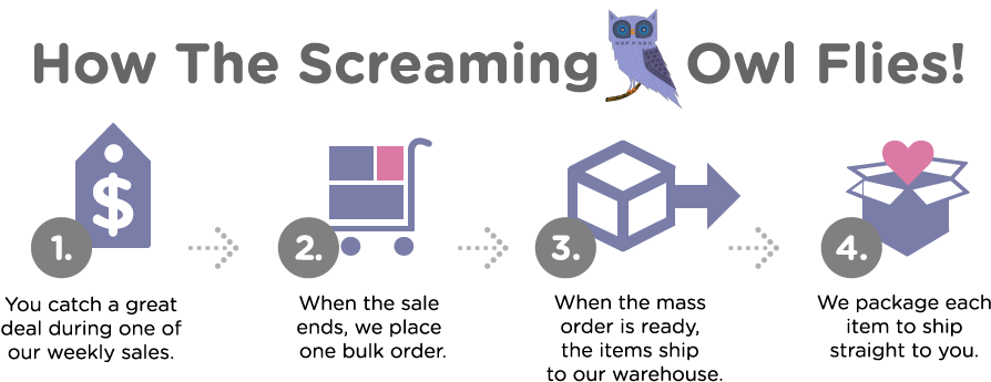 Copyright © 2019 Screaming Owl - Vector, HD Png Download - Owl Transparent PNG Free Download