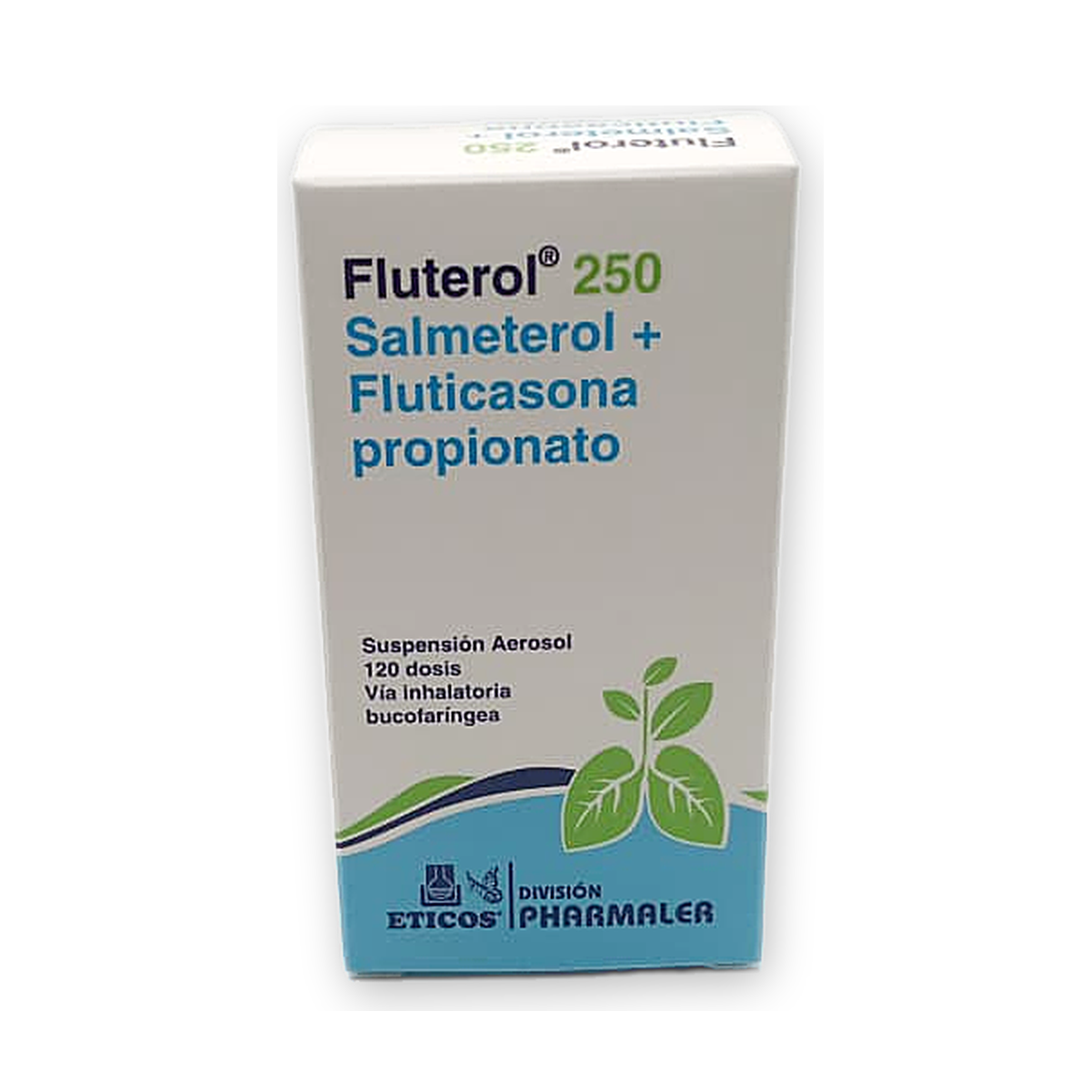 Fluterol 250 susp. aerosol caja x 1 env. x 120 dosis c/valv.