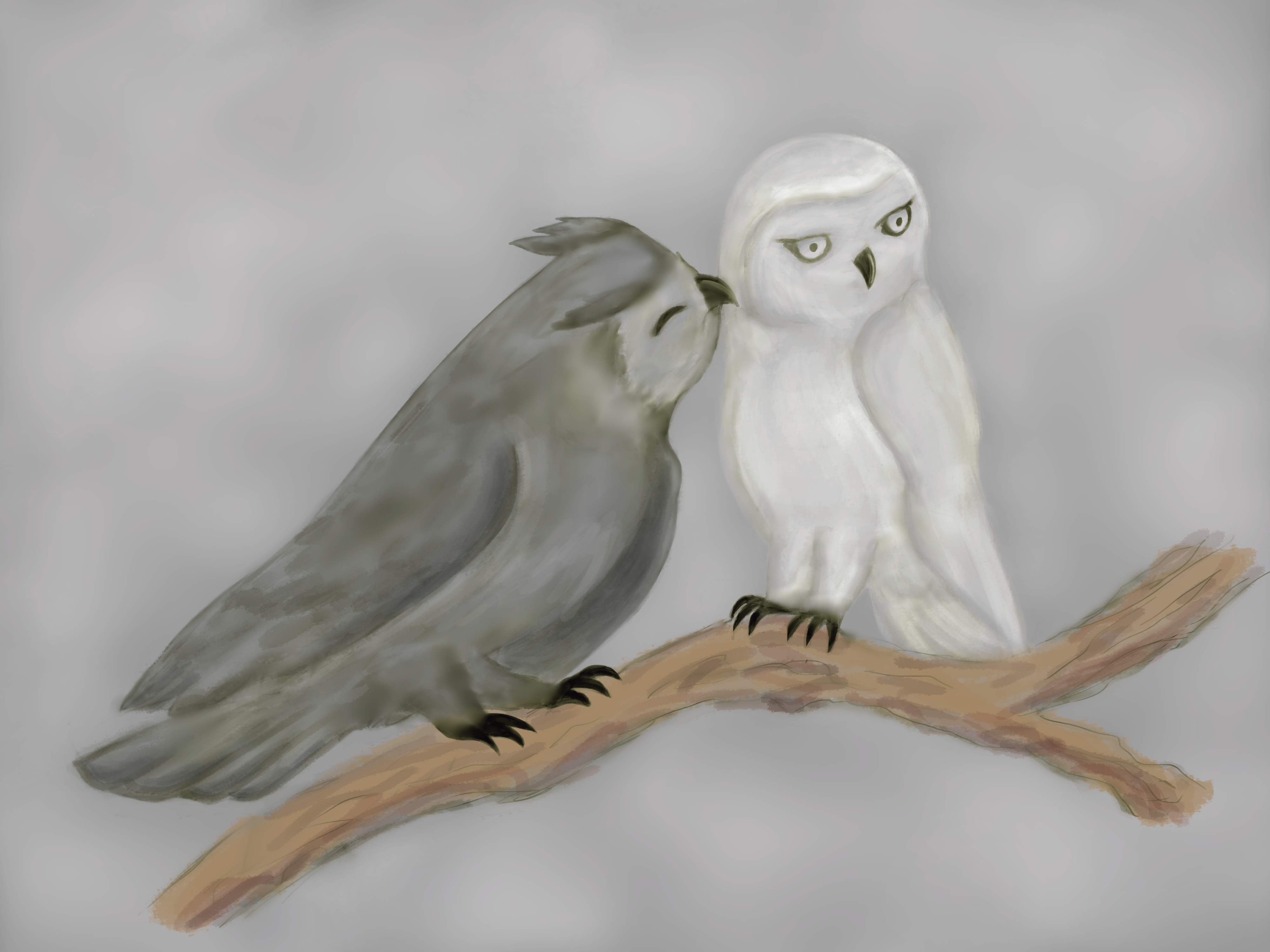 Hedwig and MacAvity