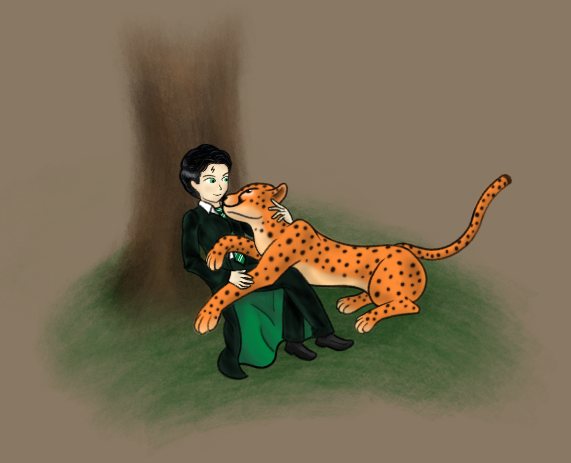 Cheetah petting