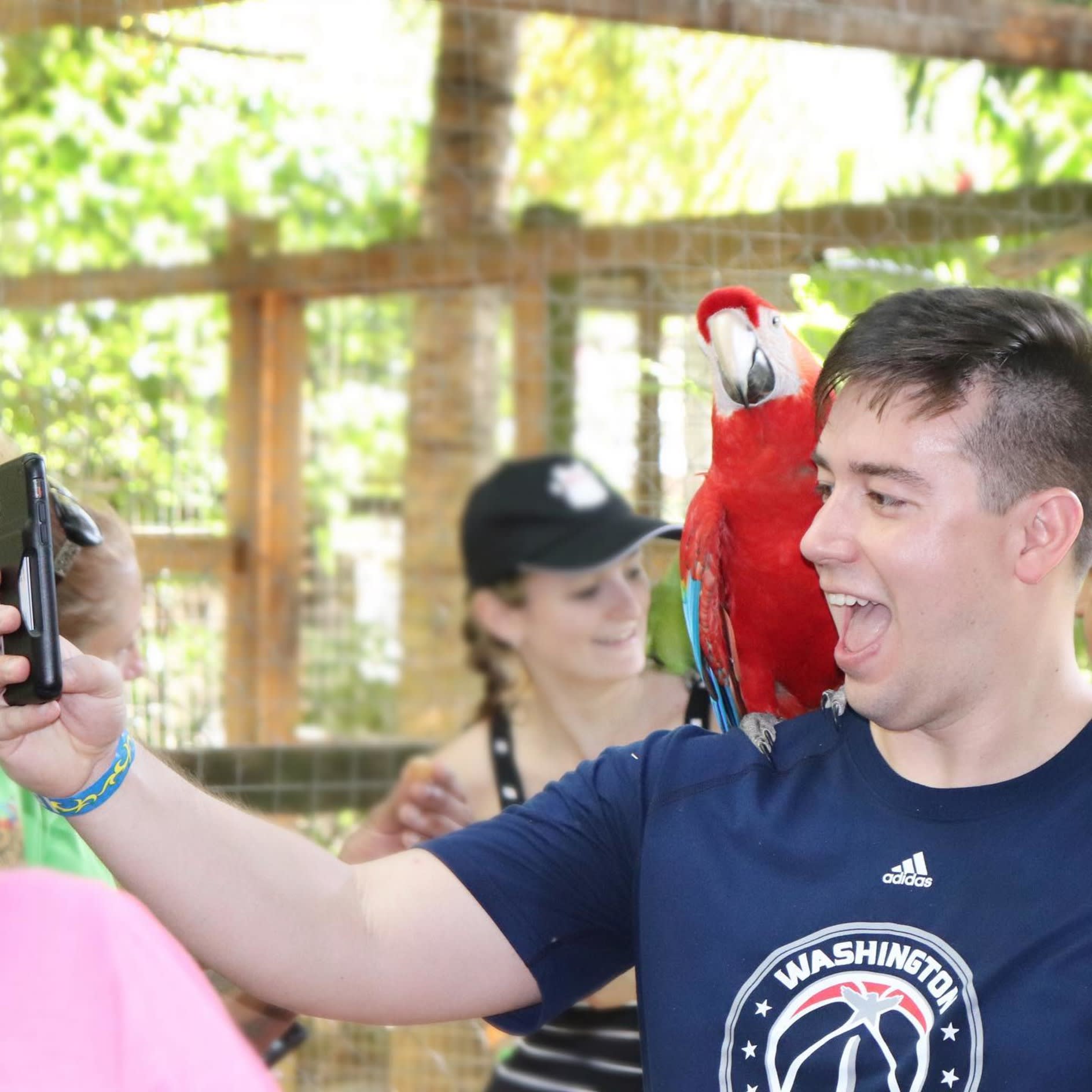 Mayan Jungle Explorers & Zipline Adventures