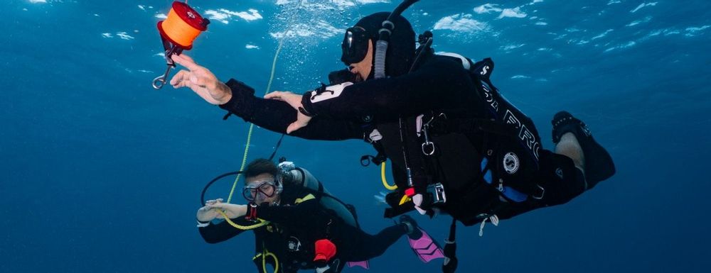 Scuba Dive Cozumel : Blue Note Scuba