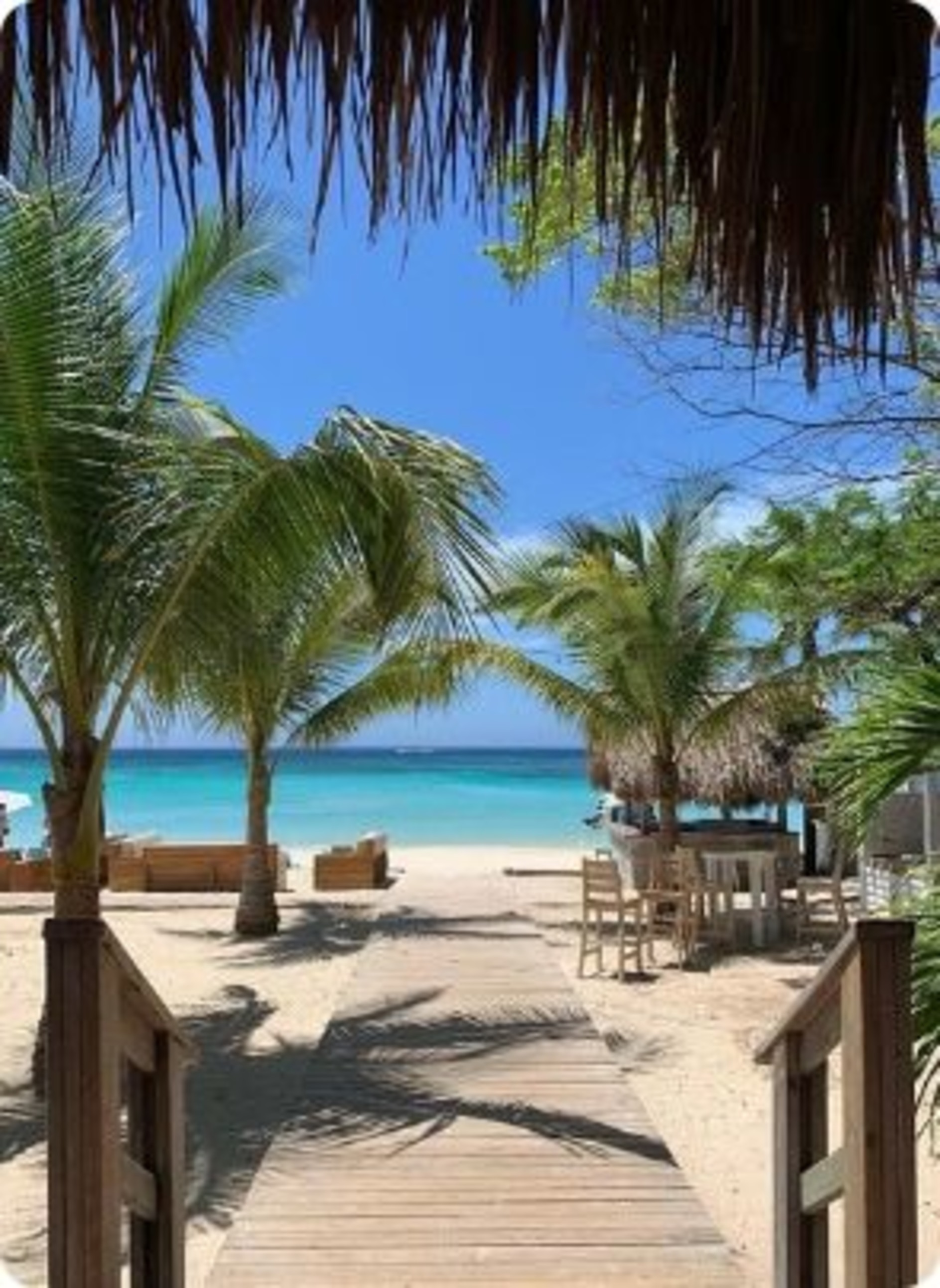 Instagram Roatan Excursions