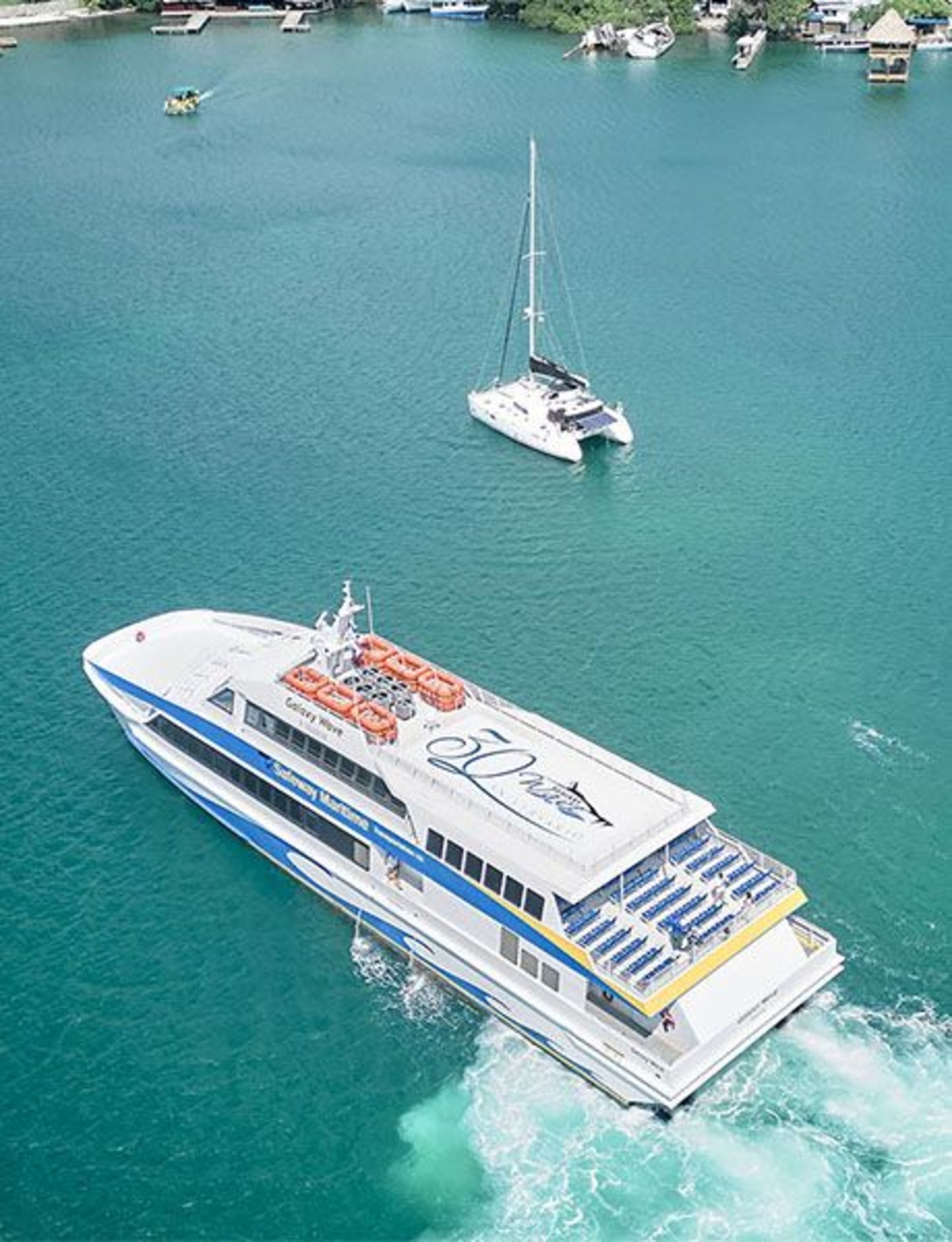 We are your best option