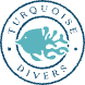 Turquoise Divers (1)-cropped