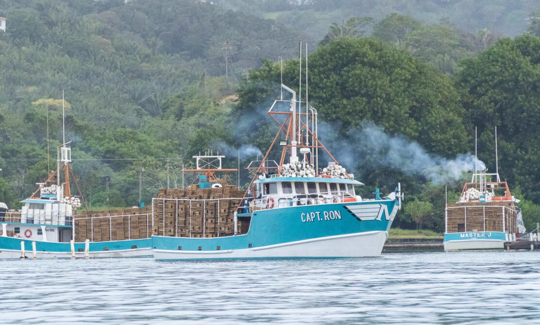 Sustainable Fishing