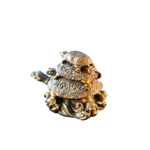 FengShui Tortoise