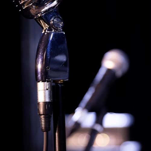 Vue 6 de Stagg Cable Microphone De