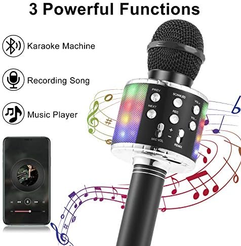 Vue 3 de Fede Microphone Karaoke Sans