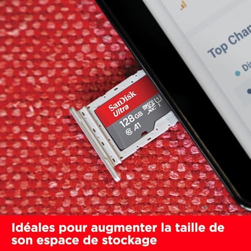 Vue 5 de Sandisk Go Ultra Microsdxc