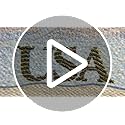 Vue 6 de Carson Lumiloupe Plus Loupe