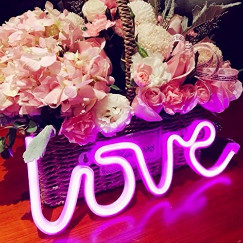 Vue 2 de Neon Love Signs Light