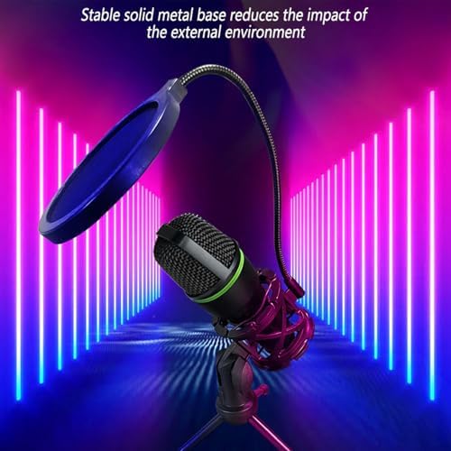 Vue 2 de Kit De Microphone De