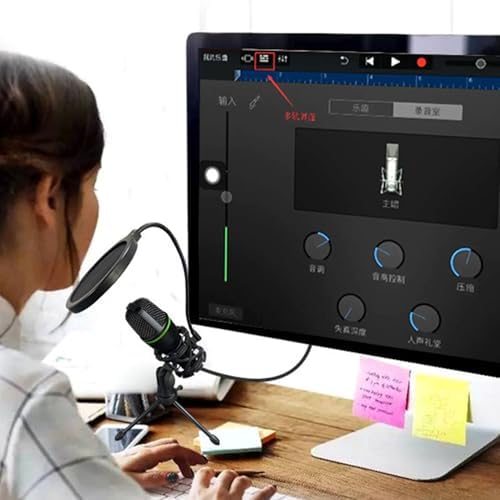 Vue 3 de Kit De Microphone De