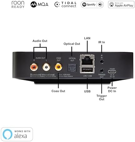 Vue 3 de Bluesound Node Nano Streamer