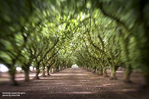 Vue 5 de Lensbaby Trio Pour Nikon