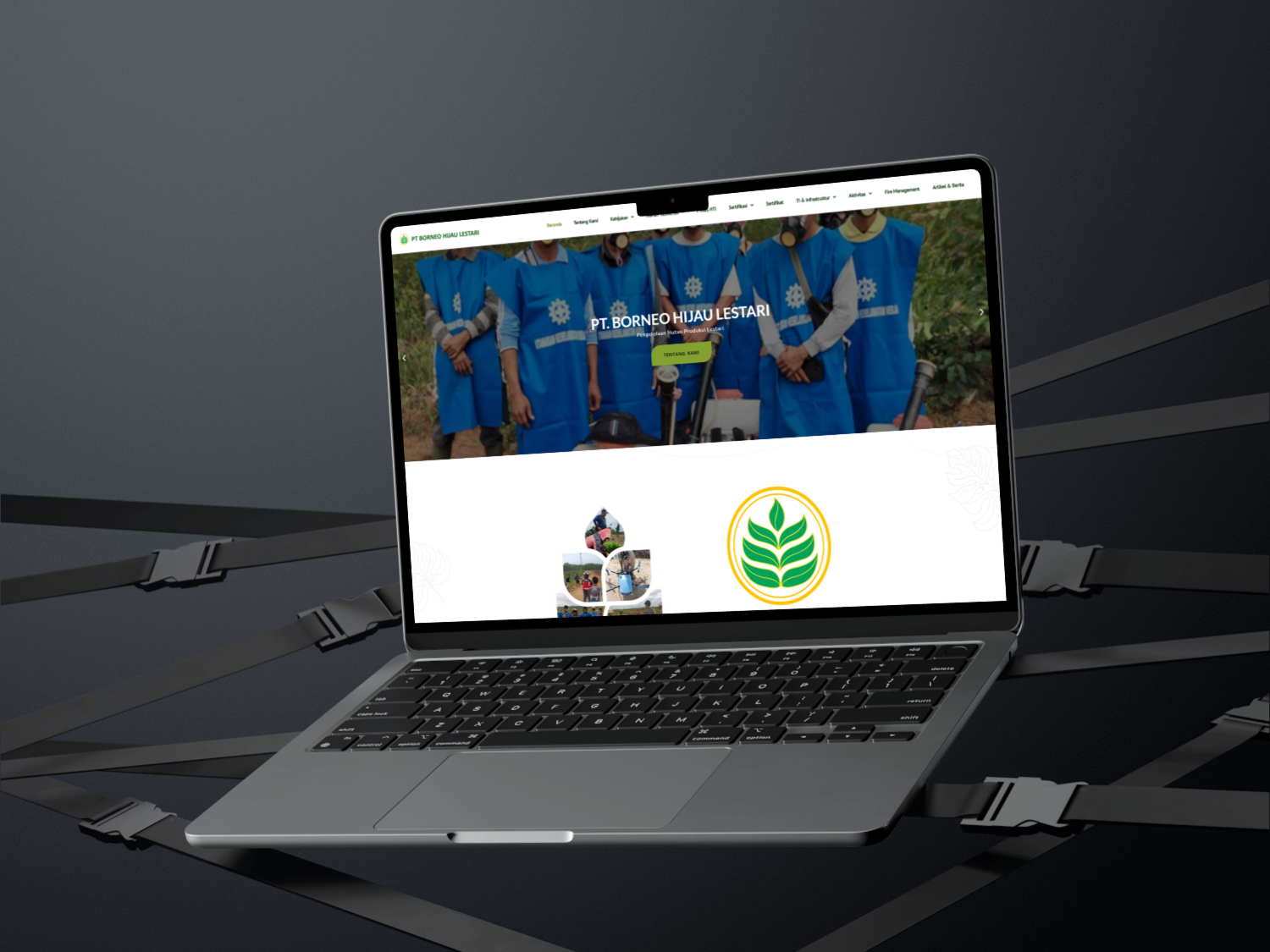 Corporate Identity & Platform for Sustainable Forestry