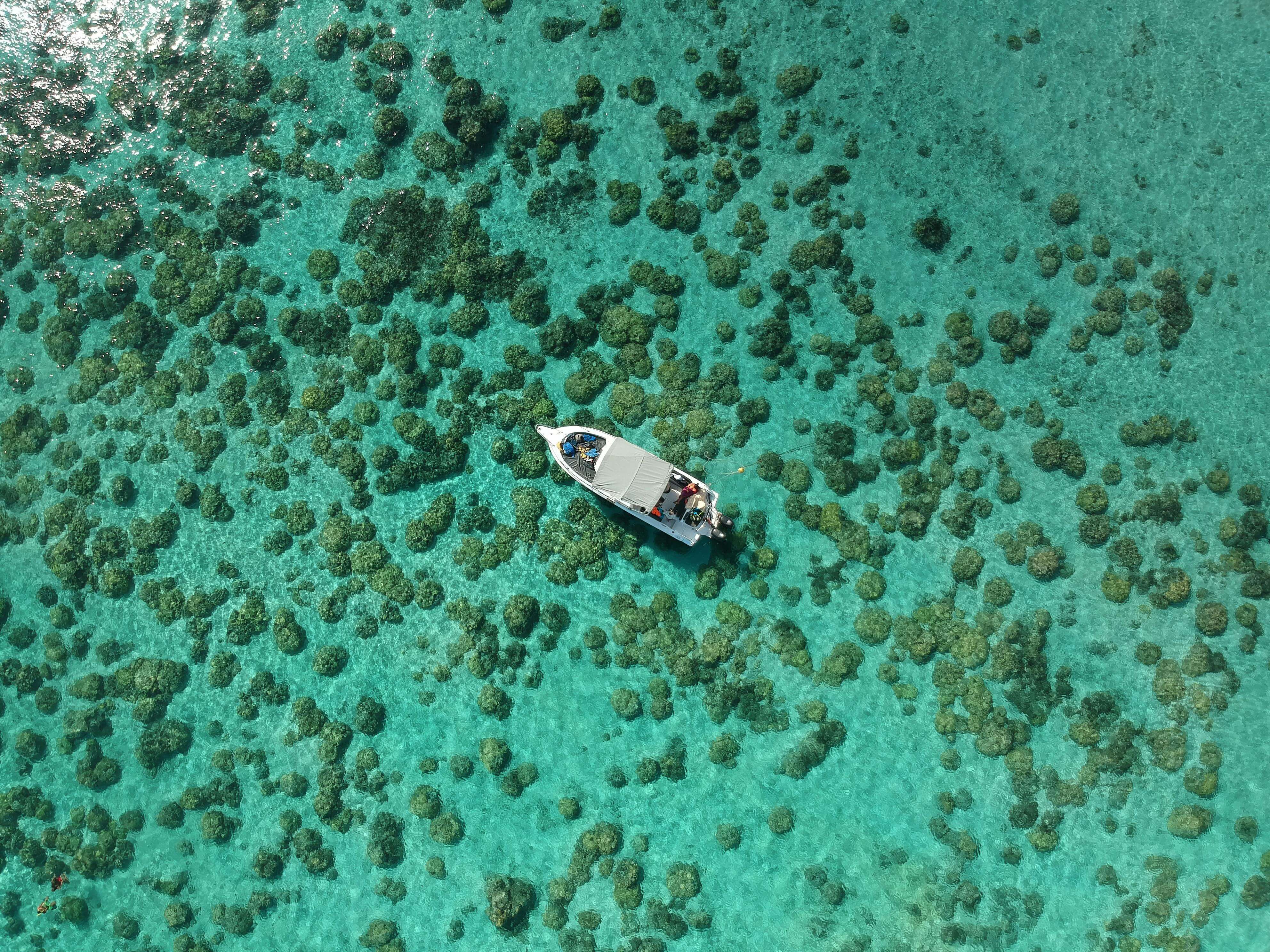 BVI vs Mauritius