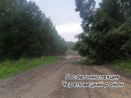 В Череповецком районе размыло региональную дорогу: перекрыто движение к нескольким деревням