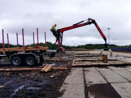 Вологжане готовятся к чемпионату лесорубов