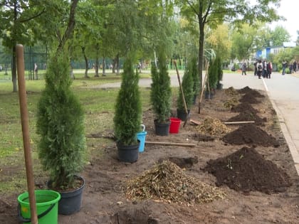 В череповецкие школы вернут трудовое воспитание