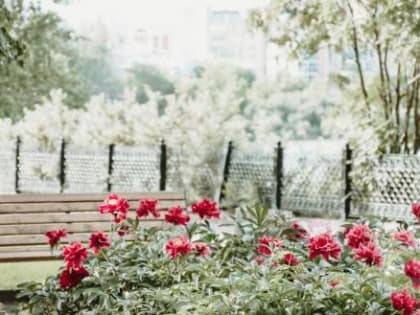 Температурный рекорд сентября в Вологде