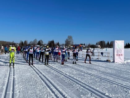 Лыжники со всей России соберутся под Вологдой