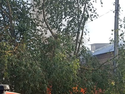 Возможен поджог: стали известны подробности пожара в двухэтажном кирпичном доме в Тотьме