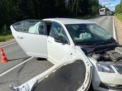 В Вологодской области бодрый старичок на «Шкоде» точным ударом отправил КАМАЗ в кювет