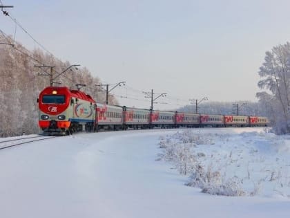 Более 3000 школьников бесплатно попутешествовали по Вологодской области в прошлом году