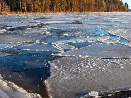 Следов насилия на телах утонувших в Череповецком районе людей не найдено