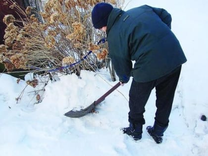 Начинаем активные работы по подготовке к огородно-садовому сезону