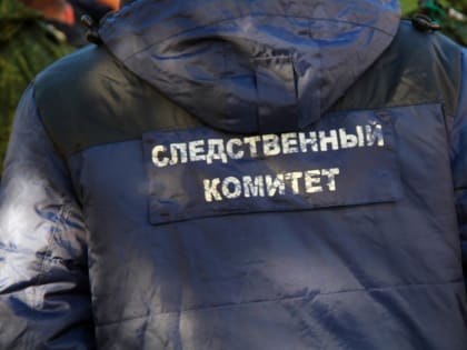 Череповчанка до смерти побила мужа