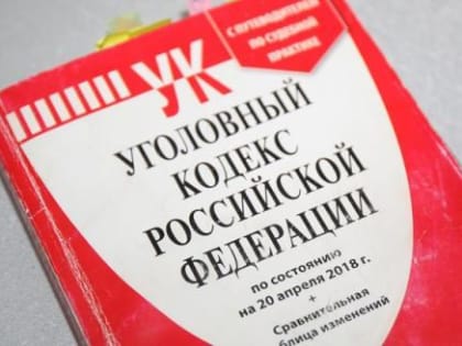 Череповчанину грозит до 5 лет тюрьмы за кражу бензопилы
