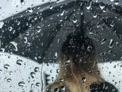 Резкое похолодание в Вологодской области не обойдется без дождей и северного ветра