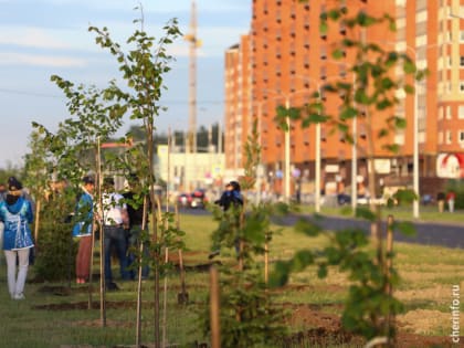 А вы были в Тоншалово в мастерской керамики 