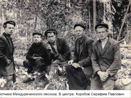 Три поколения семьи Коробовых из Вологодской области уже более полувека занимаются охраной лесов, трудятся над их защитой и воспроизводством