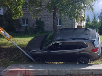 В Вологодской области 46-летняя автоледи показала высший пилотаж управления японским пепелацем