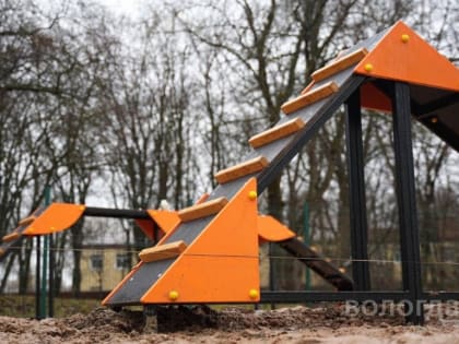 В Вологде создадут новую площадку для выгула собак