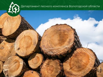 На Вологодчине принято постановление Правительства области