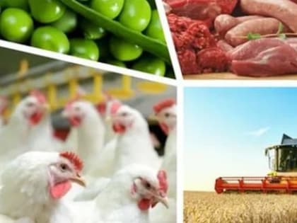 Сгущенка, алкоголь, конфеты: экспорт вологодских продуктов вырос на 60%