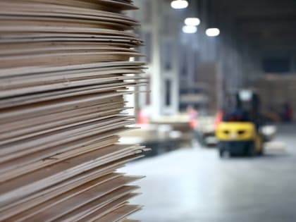 Лесопромышленный комплекс Вологодской области перестраивается в условиях новой экономики