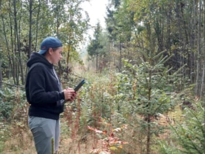 В Вологодском селекцентре - филиале САУ лесного хозяйства ВО «ВОЛОГДАЛЕСХОЗ» продолжается производственная практика студентов
