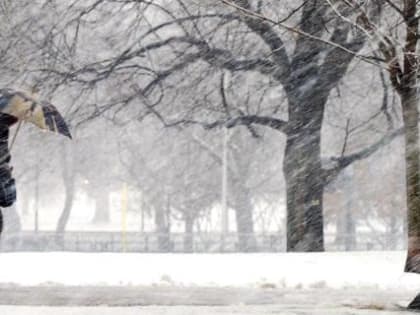 Вологжане передохнут от солнечных дней и на следующей неделе